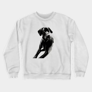 Great Dane Crewneck Sweatshirt